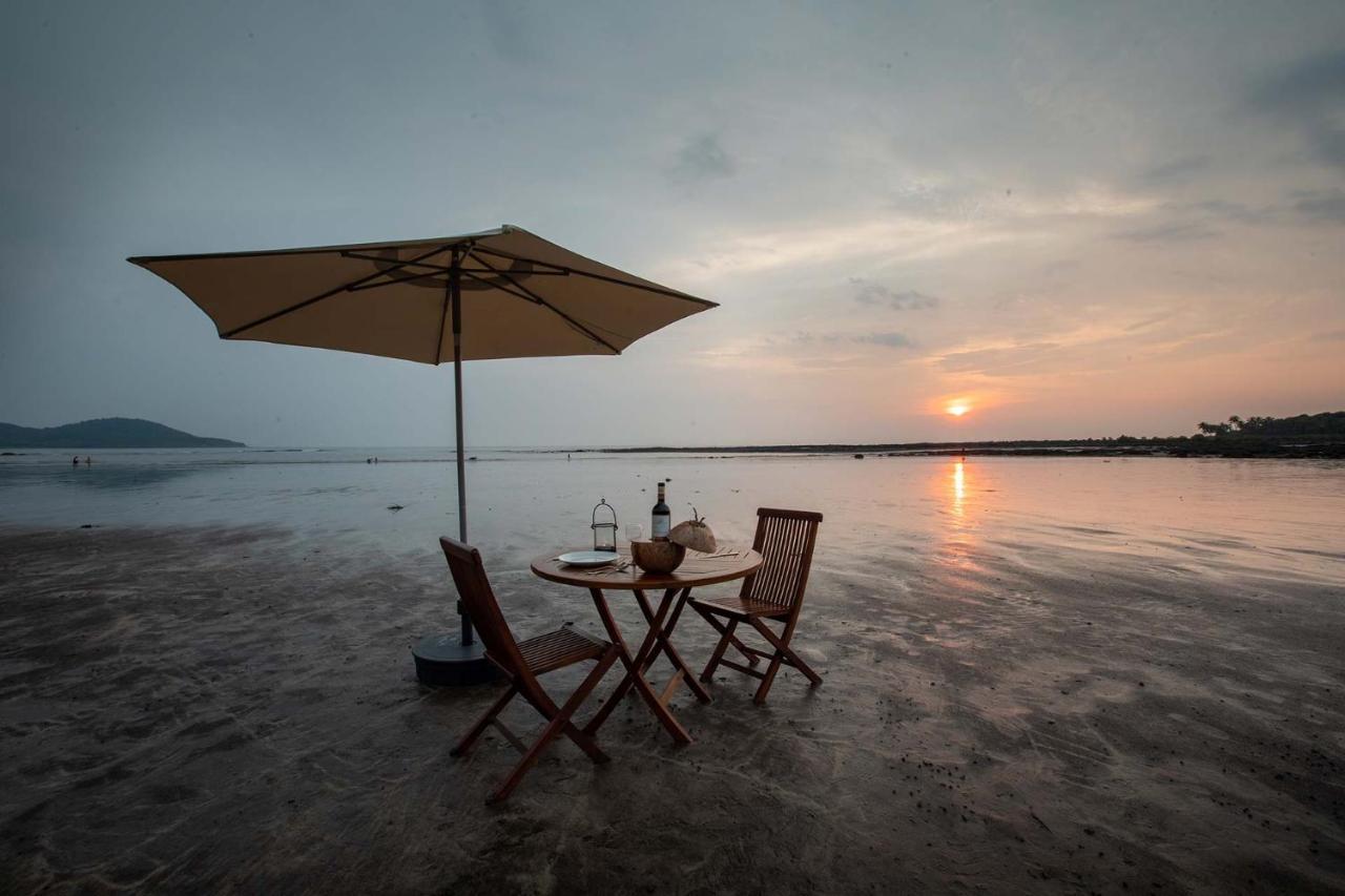 Casa Del Mer By Stayvista - Nearby Beach With, Sea-View Rooms & Coconut Farm 알리바그 외부 사진