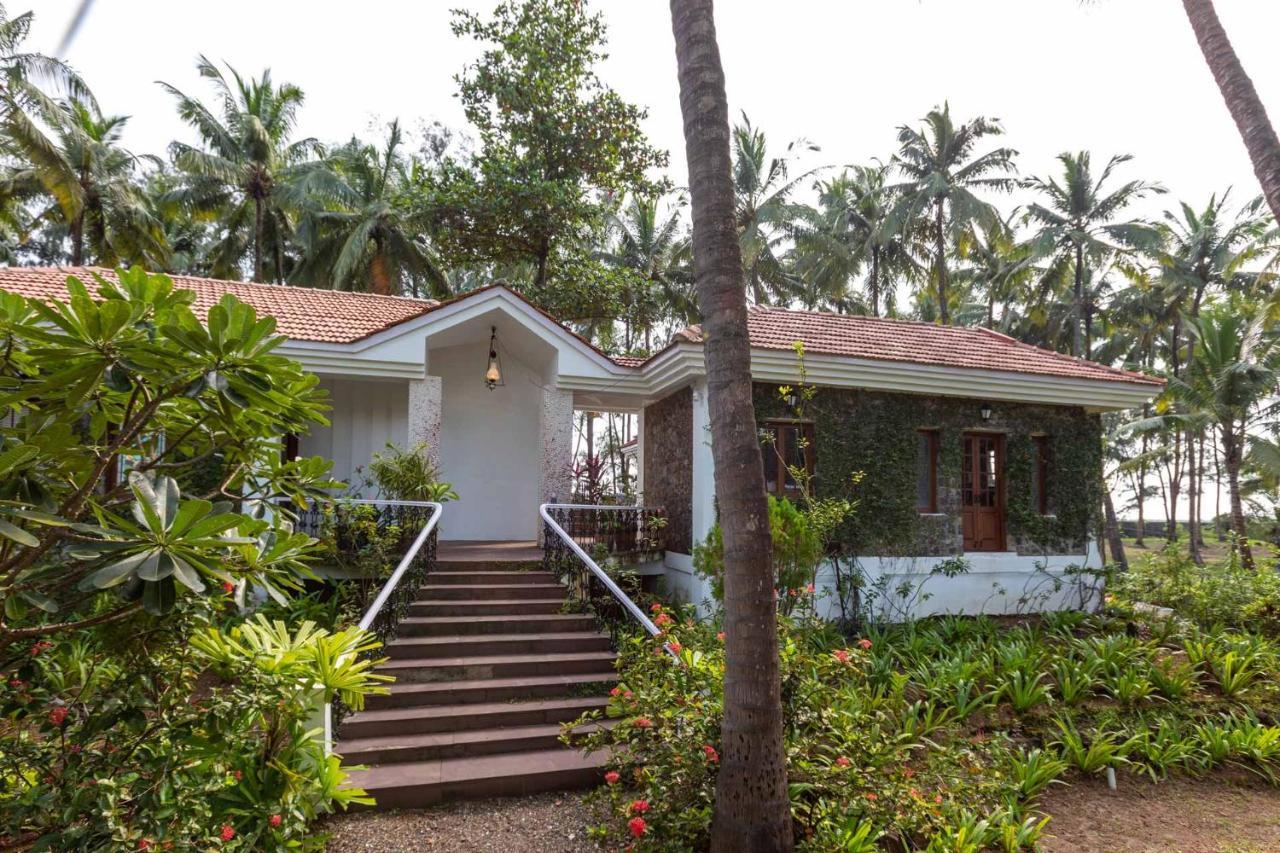 Casa Del Mer By Stayvista - Nearby Beach With, Sea-View Rooms & Coconut Farm 알리바그 외부 사진